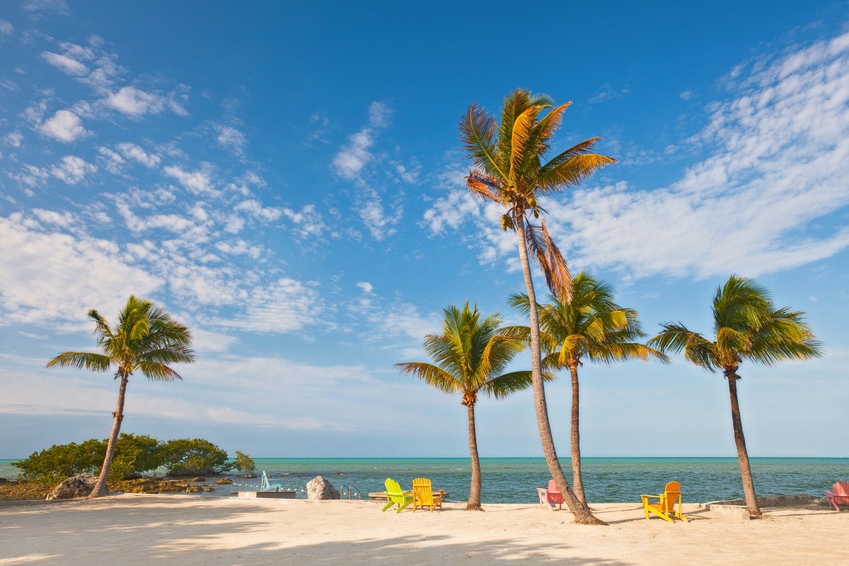 Ou rencontrer des stars a miami