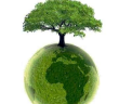 Environnement