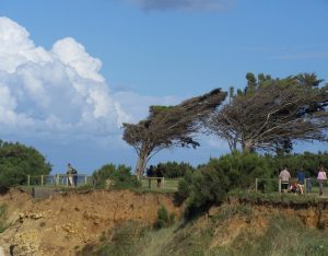 camping-oleron-4-etoiles