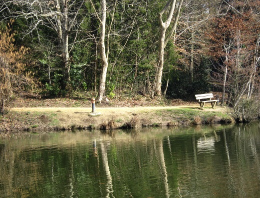 lac-du-parc-castillon-tarnos