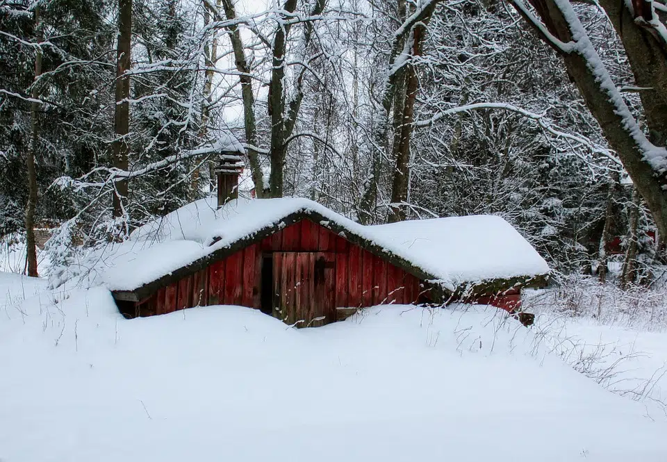 Hiver: comment se protéger du froid ?