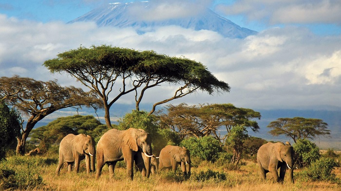 séjour au Kenya