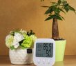 Thermomètre domestique