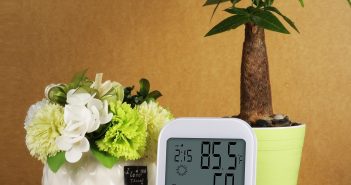 Thermomètre domestique