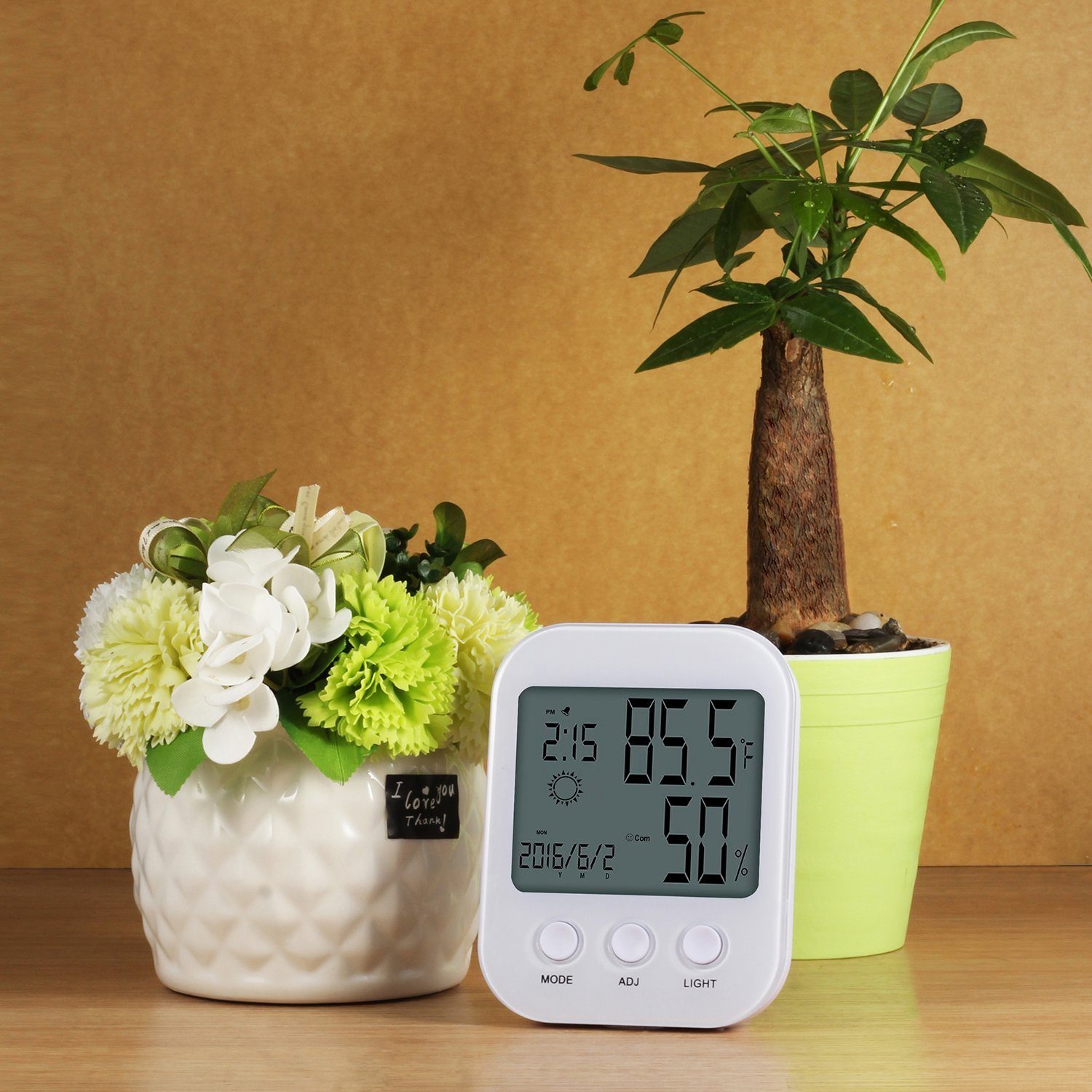 Thermomètre domestique