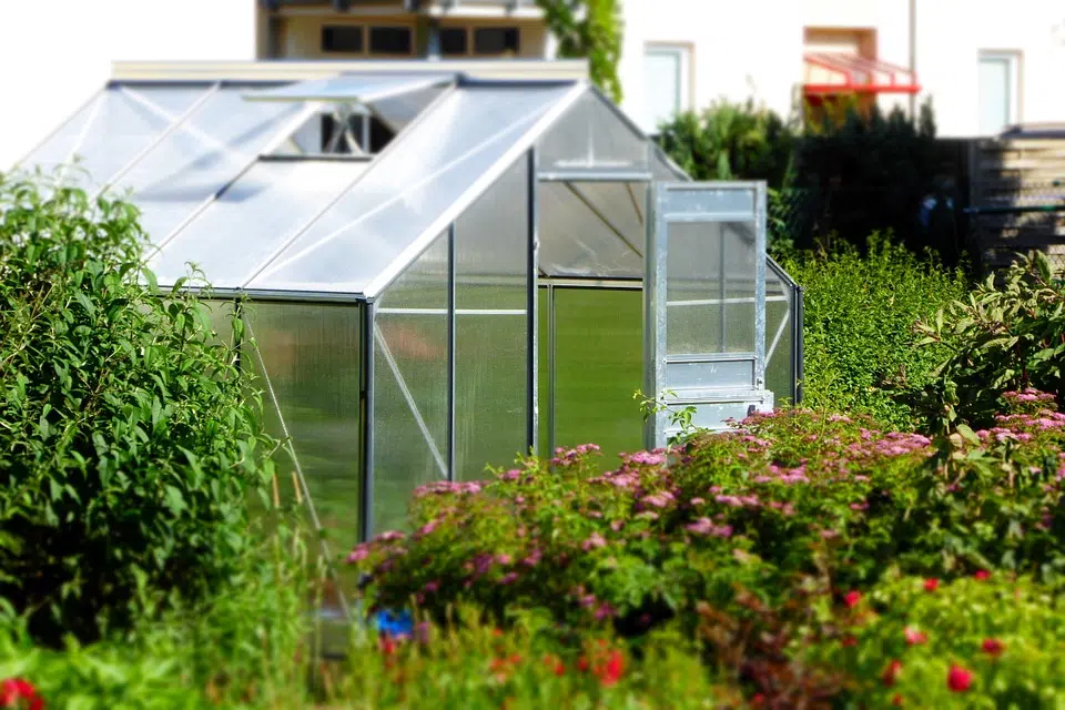 jardin serre