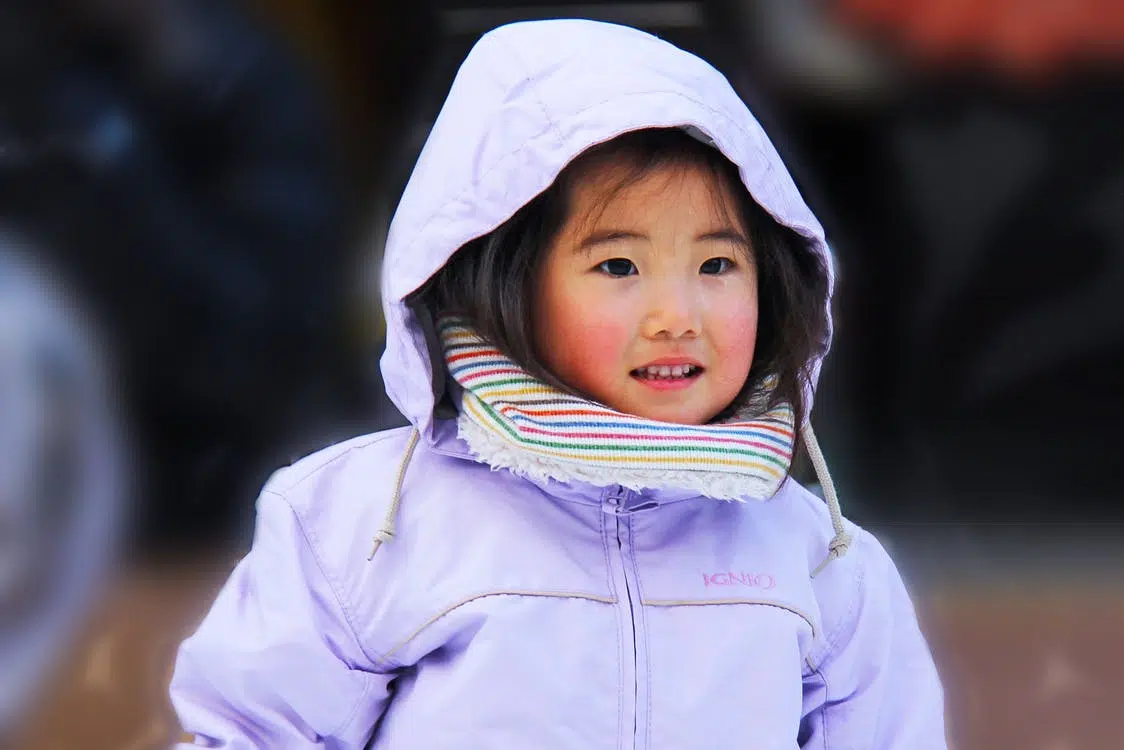 education montessori