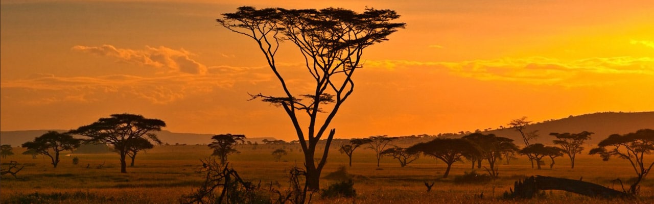 stage tourisme afrique du sud – Waïno