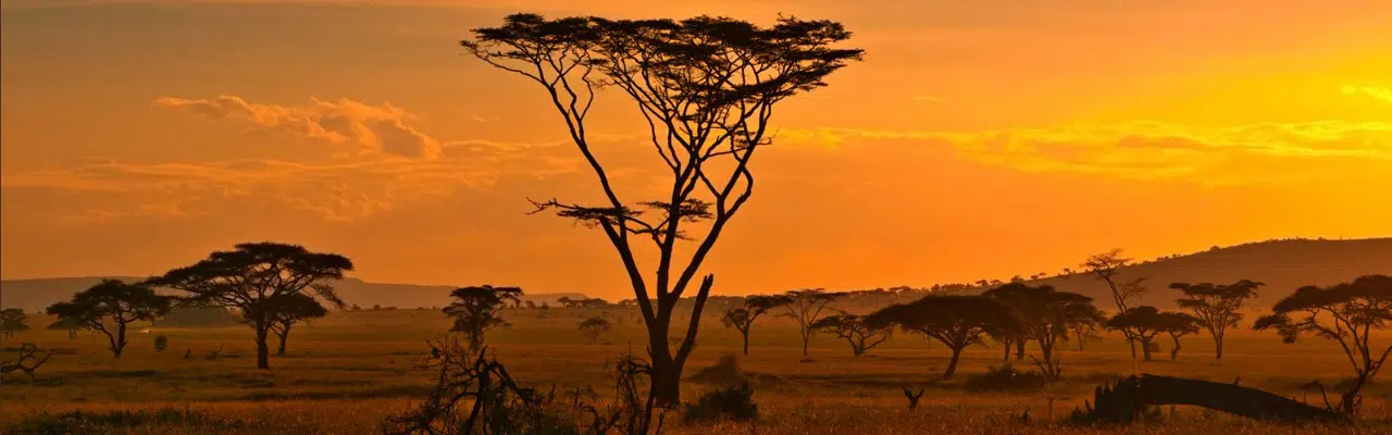 Afrique du Sud