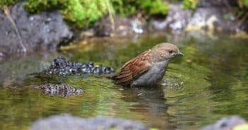 Une société améliore nos vies, en traitant les eaux usées
