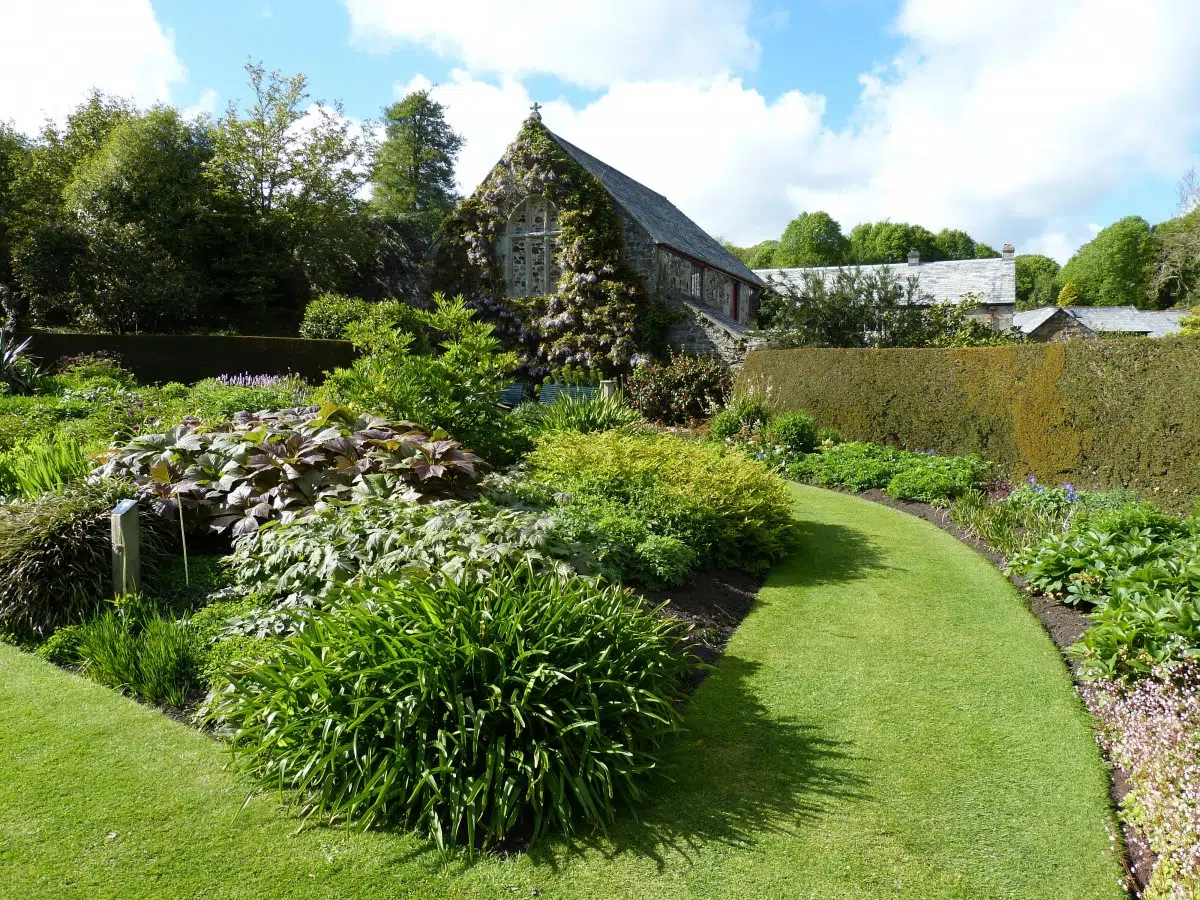 paysagiste création jardin