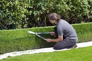 paysagiste entretien jardin