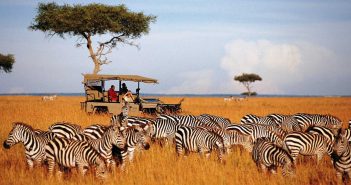 Les activités auxquelles s’adonner le temps d’un séjour au Kenya