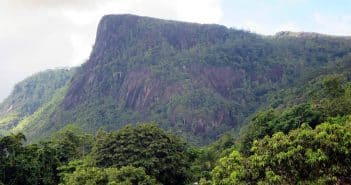 Séjour aux Seychelles : découvrir ses jardins luxuriants et parcs