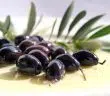 olives noires