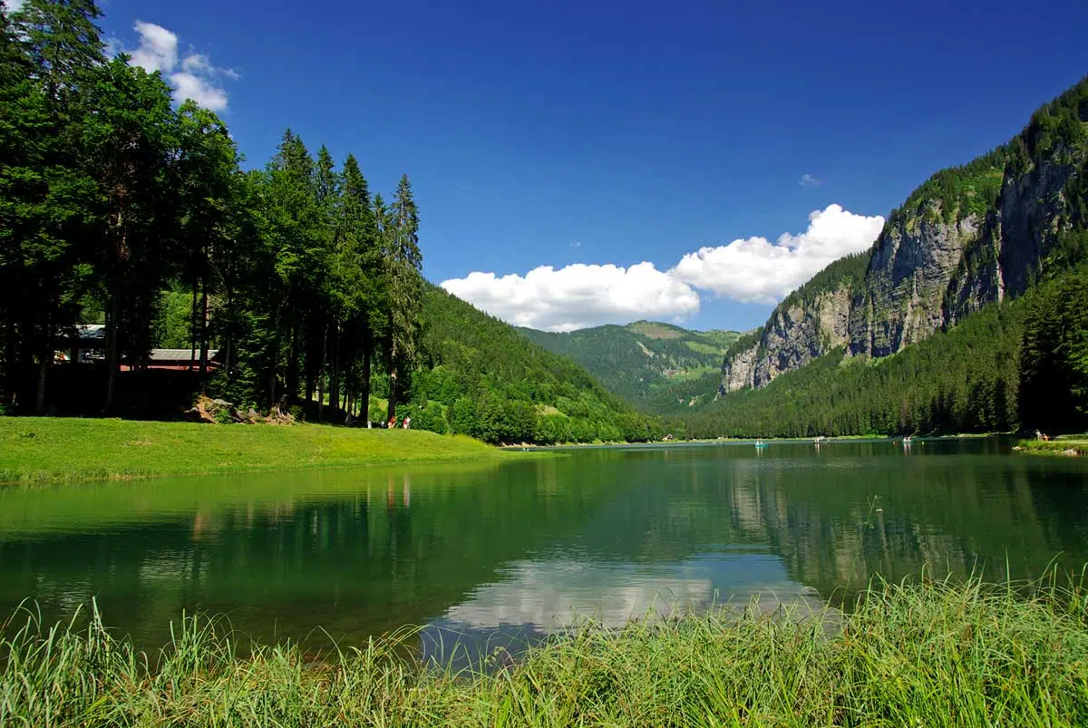 lac