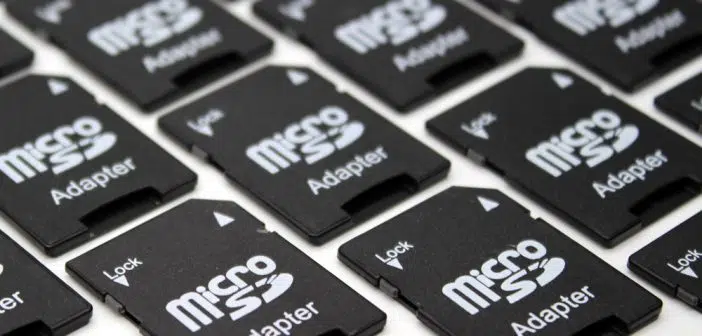 Une collection de cartes mémoires MicroSD