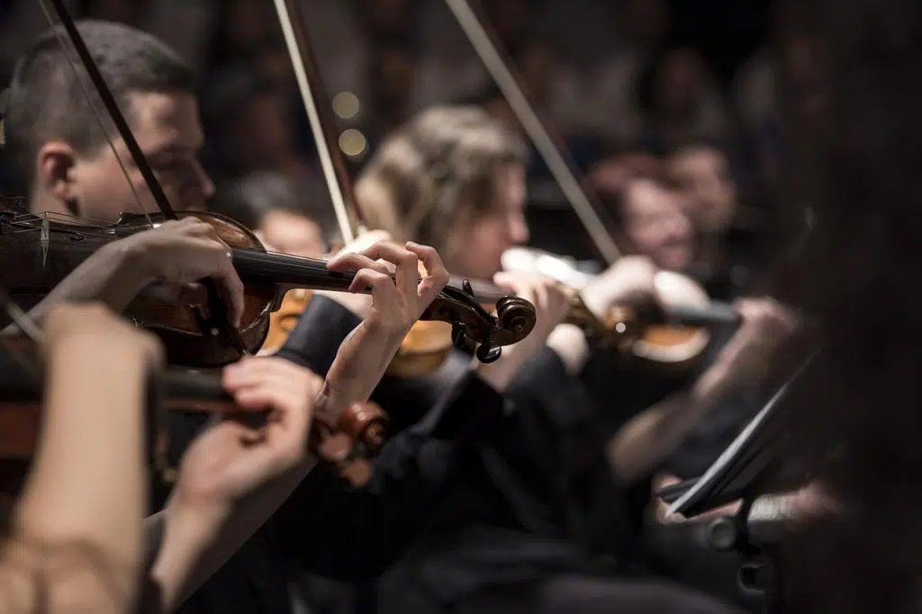 orchestre d'instruments à cordes frottées