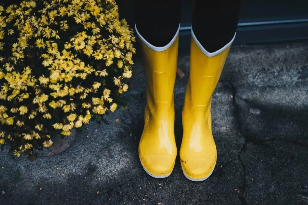 bottes en caoutchouc équipement du jardinier typique