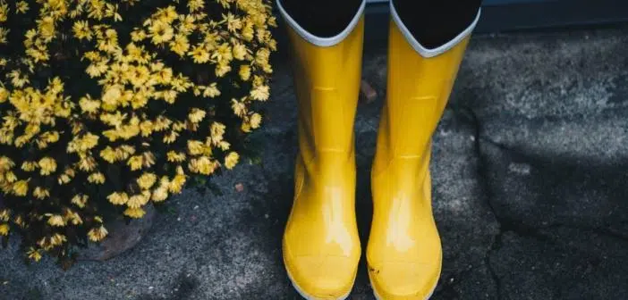 bottes en caoutchouc équipement type du jardinier