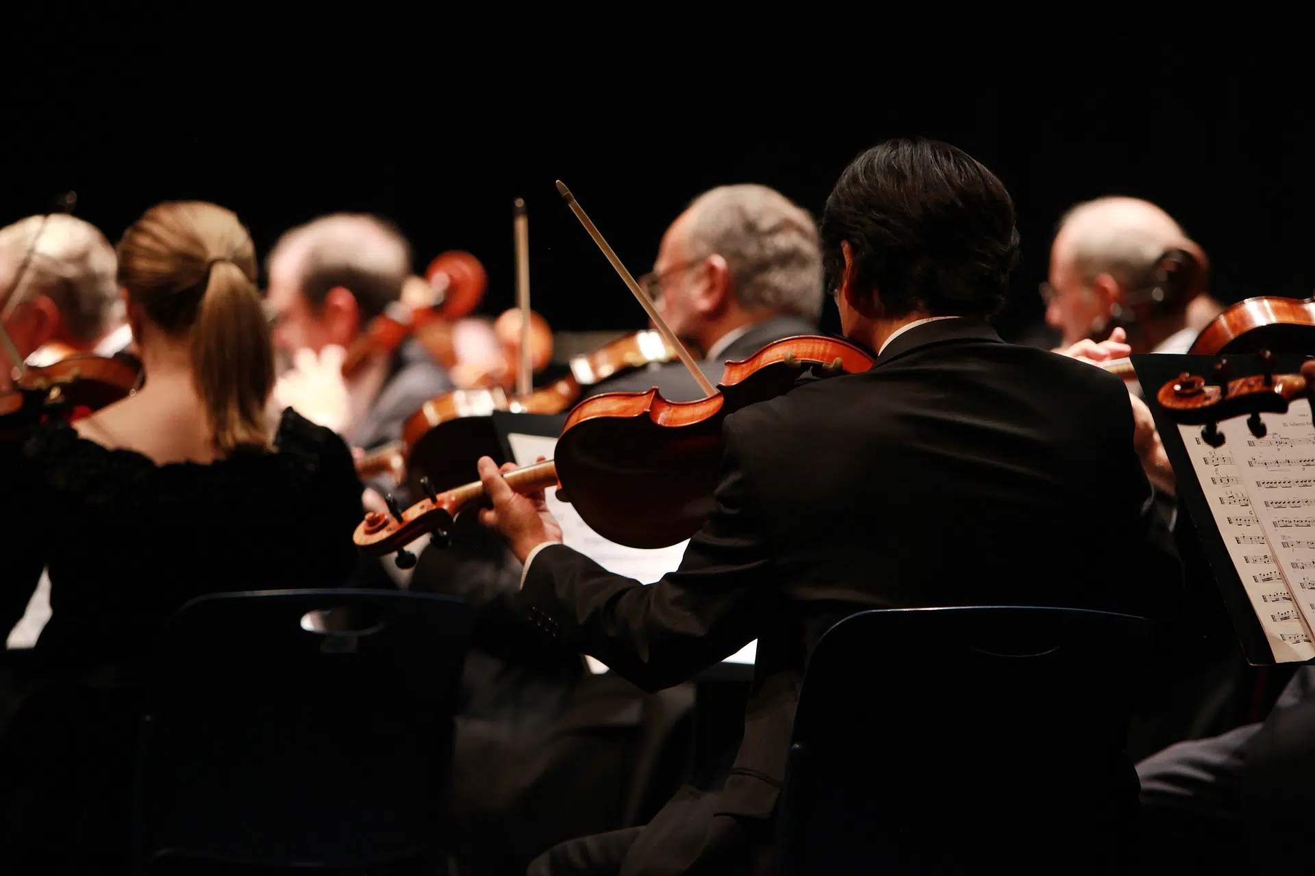 etui violons gewa