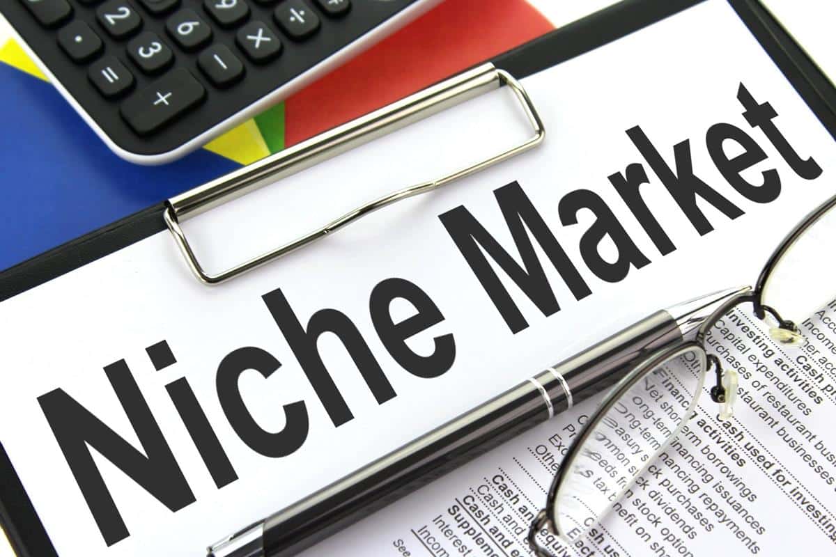Développer son business en ligne : l’importance de cibler des niches
