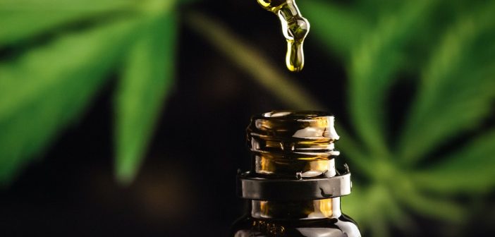 cbd oil