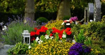 Un cimetière avec des fleurs