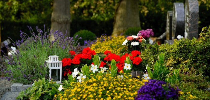 Un cimetière avec des fleurs