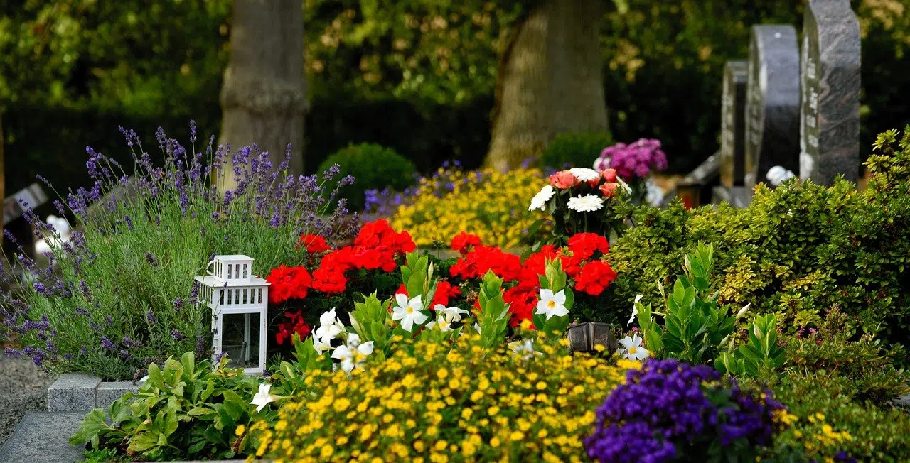 Un cimetière avec des fleurs
