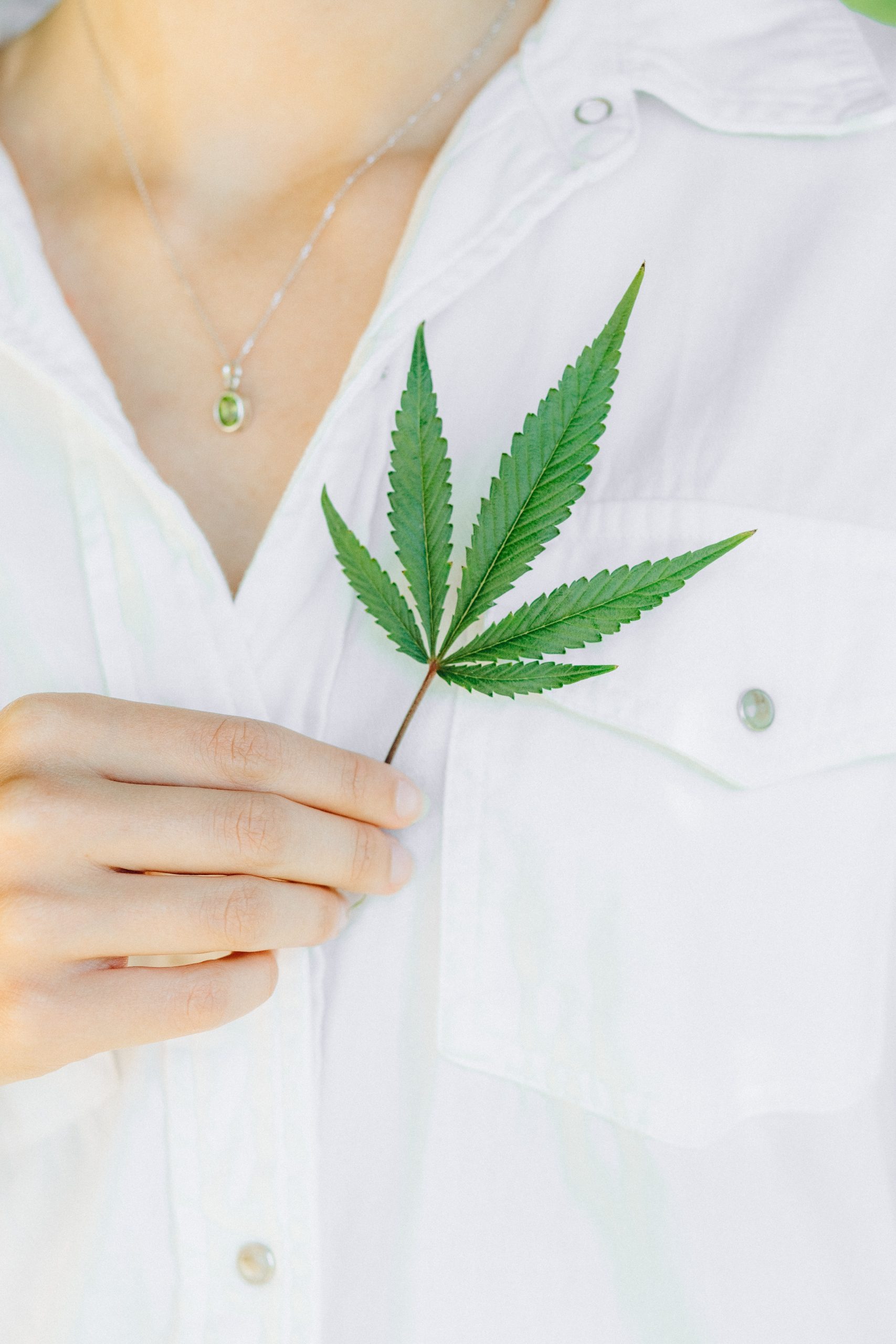 cbd