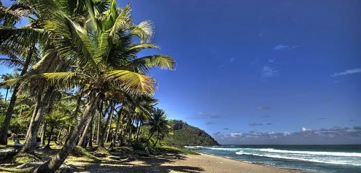 île de la Réunion