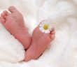 Comment créer un faire-part de naissance ?