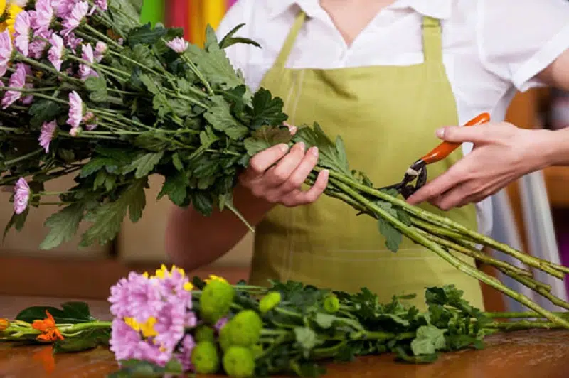 comment suivre une formation de fleuriste
