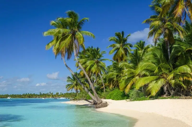 3 idées de voyage au mois de Décembre