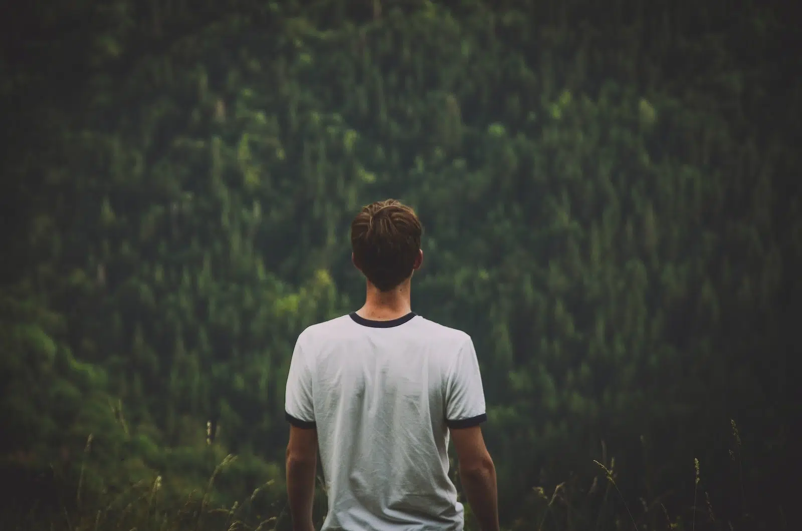 Quels t-shirts garçon pour l'hiver ?