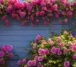 Comment sécher les fleurs de jasmin pour en profiter pleinement