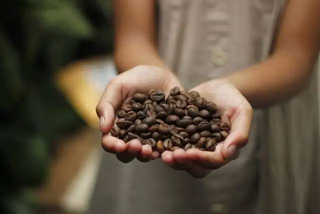 méthodes de conservation du café en grain